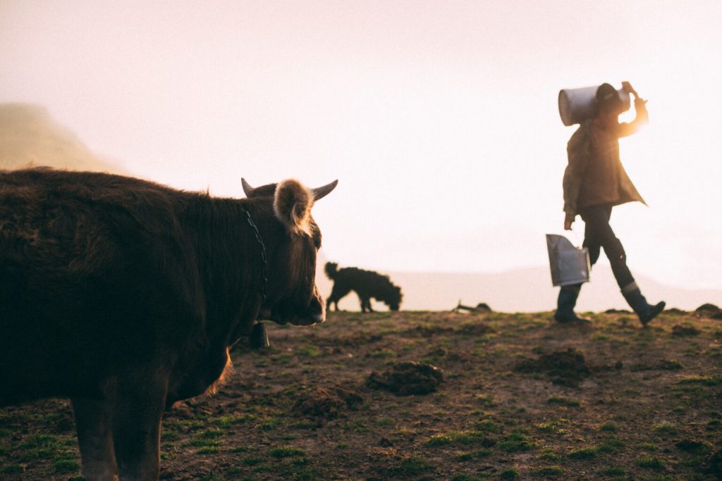 México es deficitario en producción de leche y en este 2023 hablará importaciones