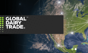 Global Dairy Trade sube un 4,6% en su índice de precios