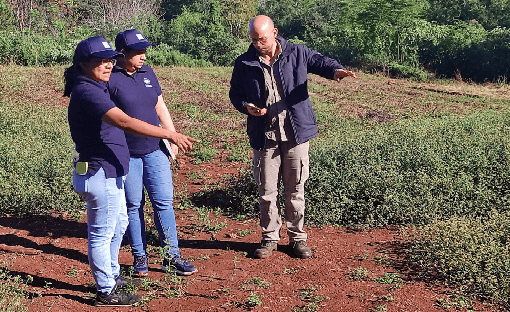 COOPERACIÓN