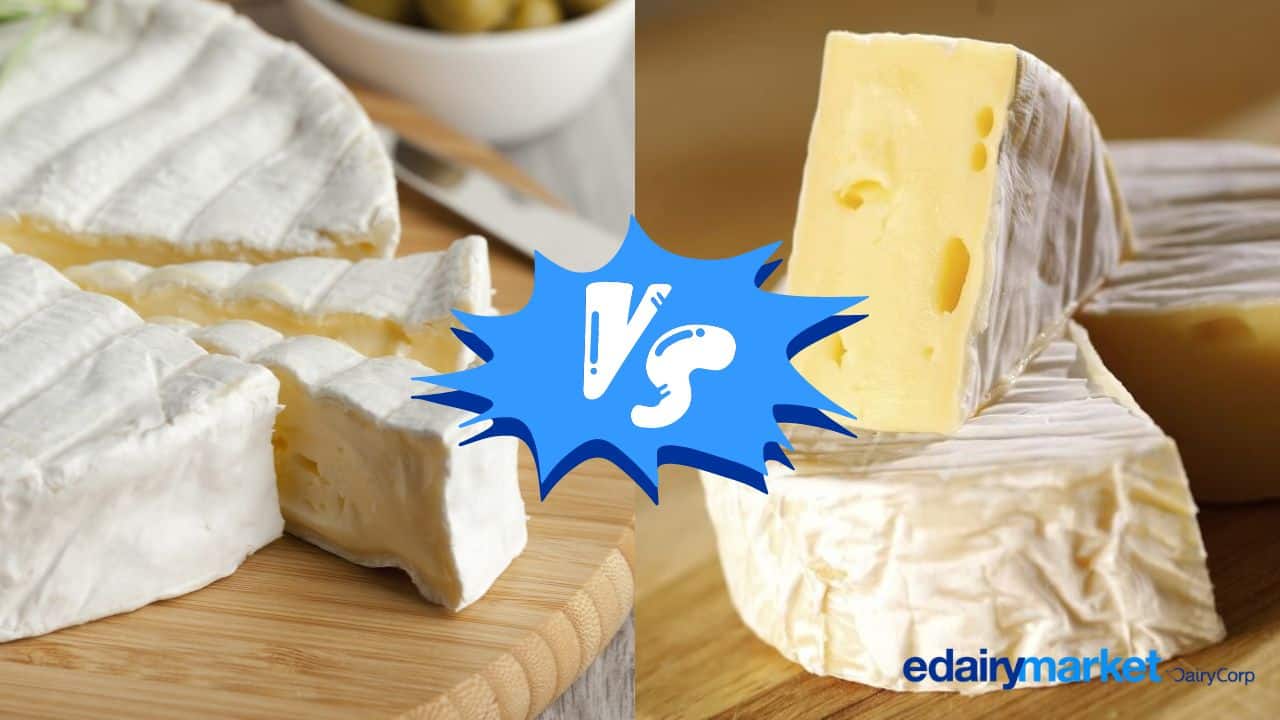 Brie vs. Camembert 7 Diferencias Claves eDairyNewsMX