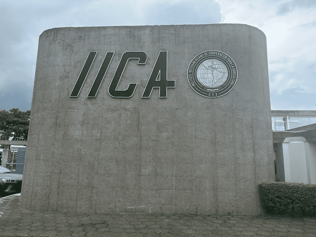 IICA