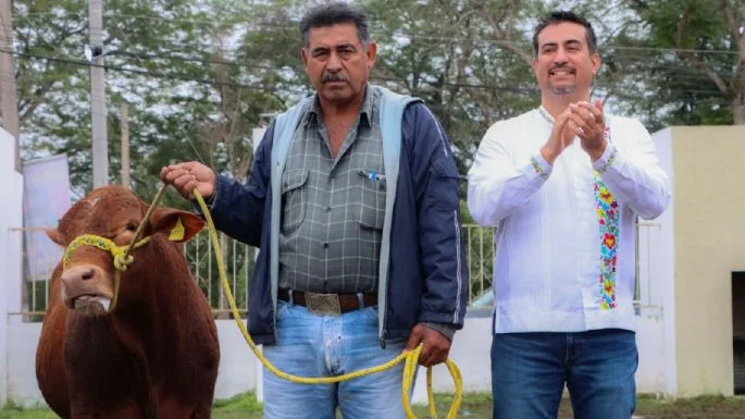 Entrega Huejutla equipo y animales para fortalecer al sector ganadero