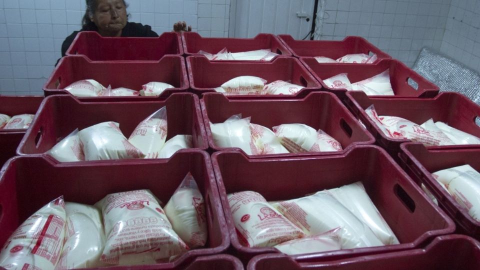 LICONSA suspenderá importación de leche en polvo se robustecerá la industria interna