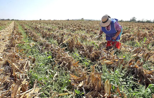 Lamentan campesinos de Veracruz recorte presupuestal histórico