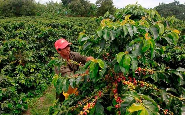 Lamentan campesinos de Veracruz recorte presupuestal histórico2