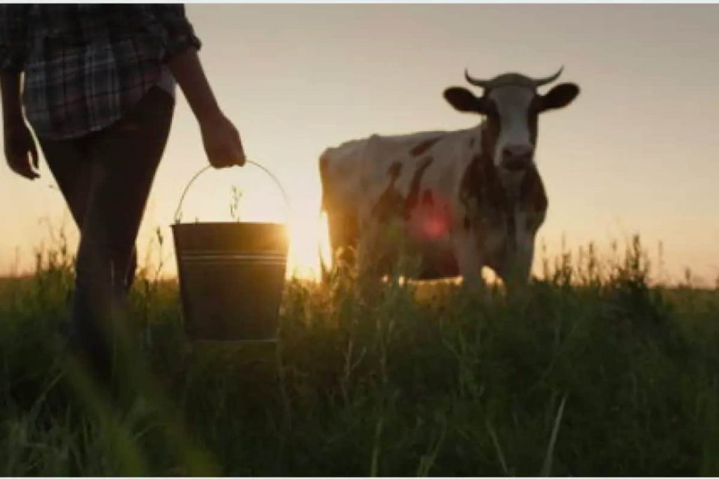 Empresas grandes pretenden comprar leche más barata con los productores Alfonso Ruiz