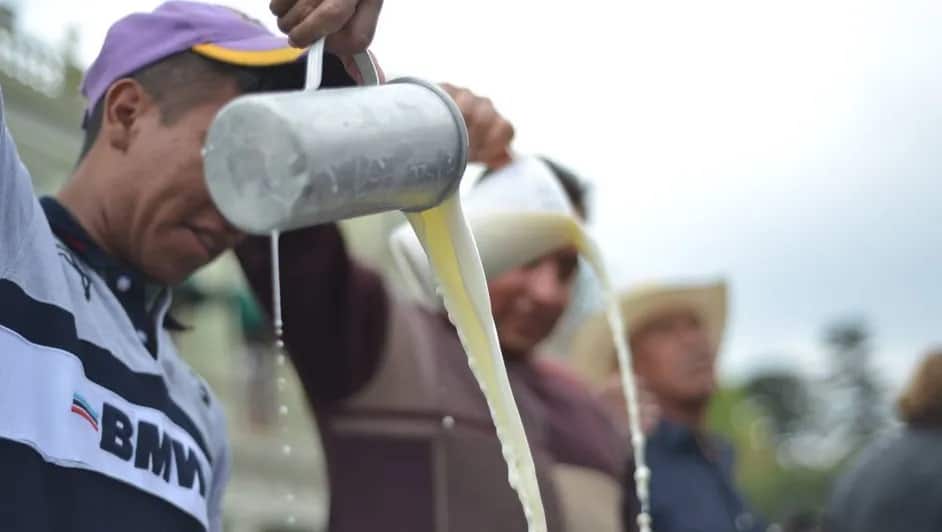 Empresas presionan a ganaderos para que bajen precio de la leche Femeleche