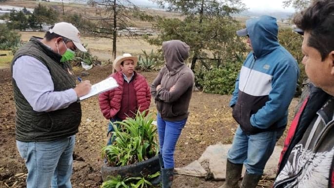 Investigan causas de muerte en ganado de crianza en Metepec