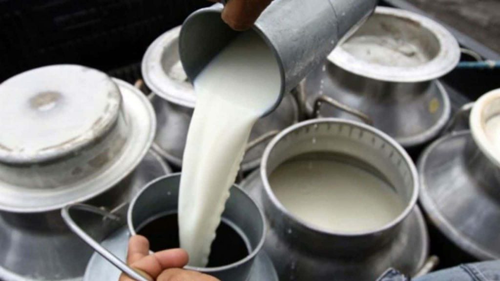 Piden 5 pesos más por litro de leche y solo les ofrecen 30 centavos