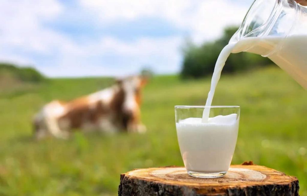 Leche cayendo sobre un vaso de cristal. Al fondo, hay una vaca en el campo