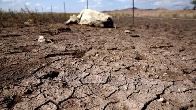 Solicitan declaratoria de emergencia por sequía para Sonora