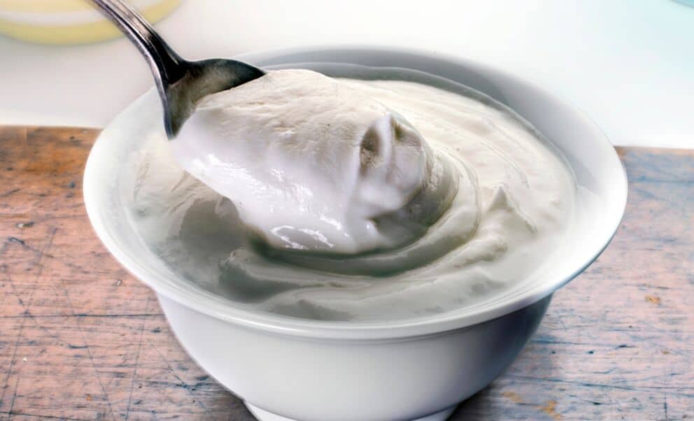 Descubre la cantidad de yogur ideal para comer a diario, según la ciencia