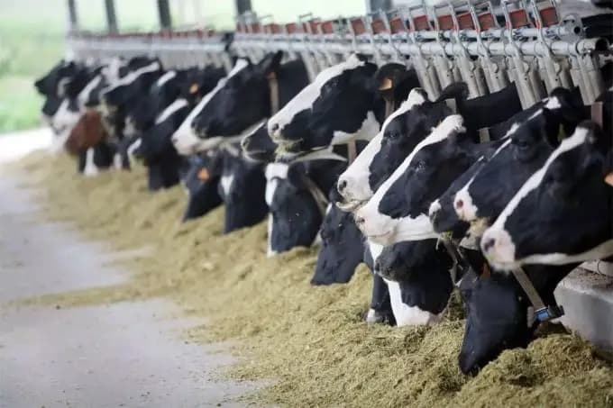 Francia aprueba una ley que protege a los agricultores de las quejas de los ciudadanos