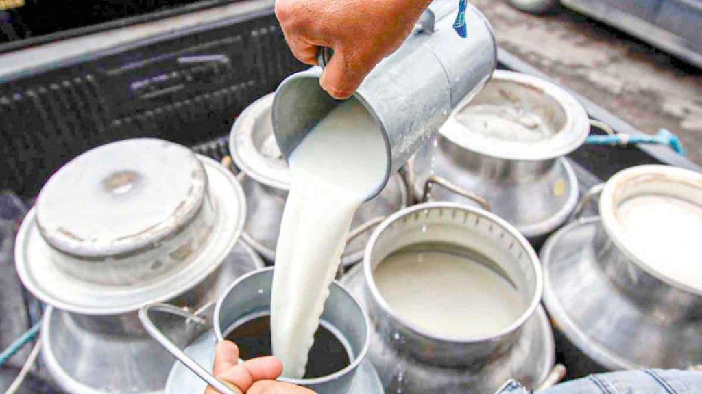 Liconsa Dejara de Comprar Leche a Ganaderos de Jalisco por Temporada de Semana Santa