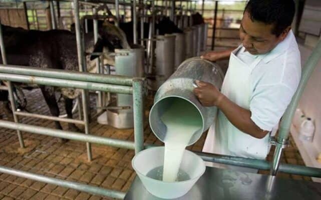 Venta de leche “bronca” en etapa de extinción
