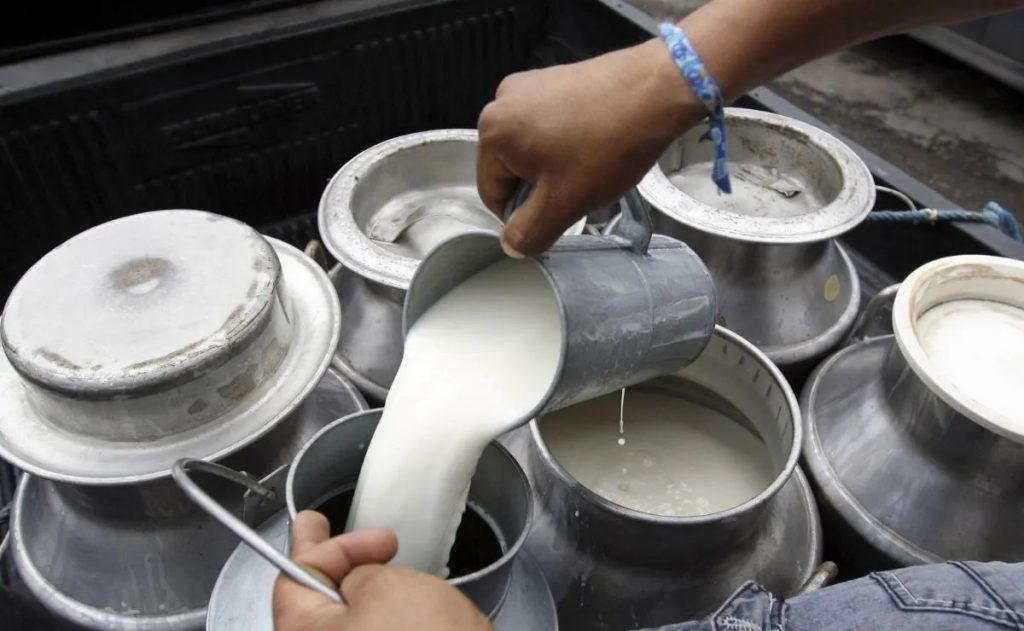 En Jalisco venden leche recién ordeñada en 10 pesos