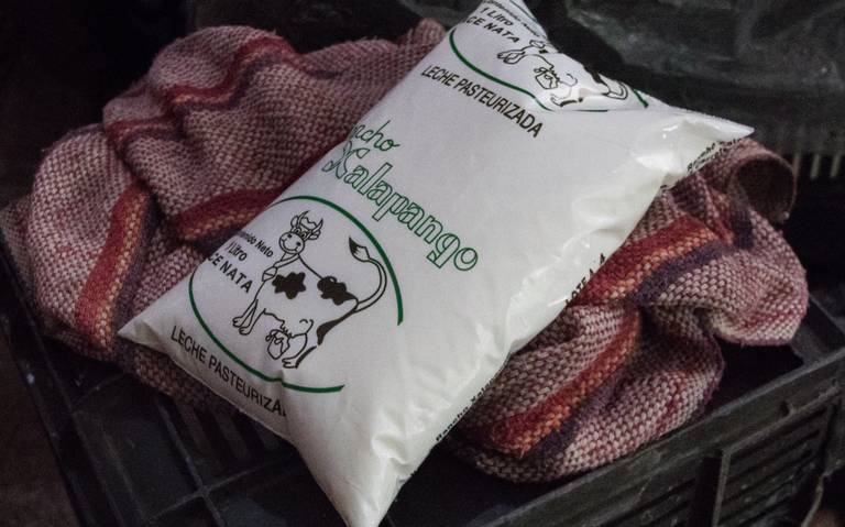 Productores de leche la dan a 10 pesos por sobreproducción en Aguascalientes