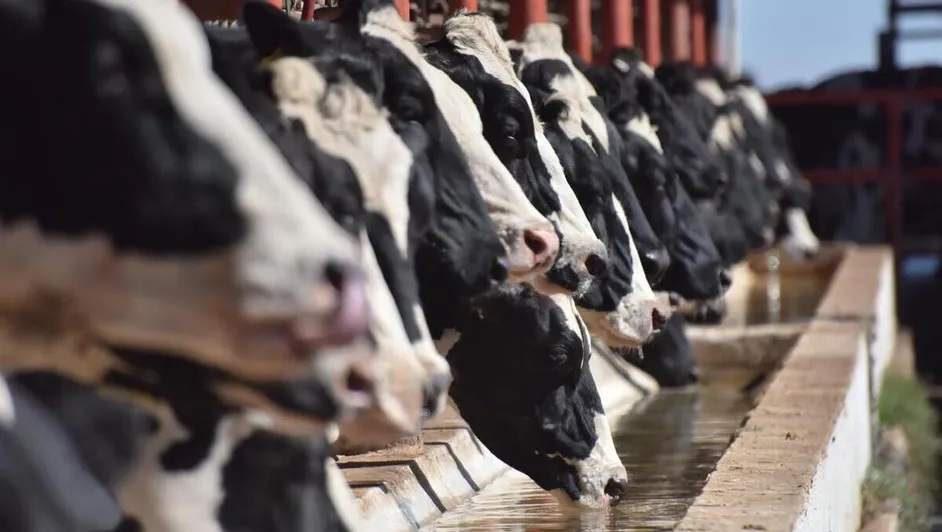 En marco del Día Internacional de la Leche, FIL reconoce bienes a la salud