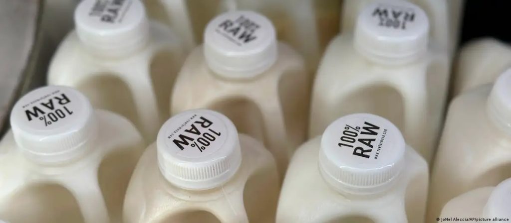 Entusiastas de leche cruda exigen leche infectada con H5N1
