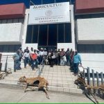 Ganaderos arrojan cadáveres de reses para exigir apoyos por sequía en Chihuahua