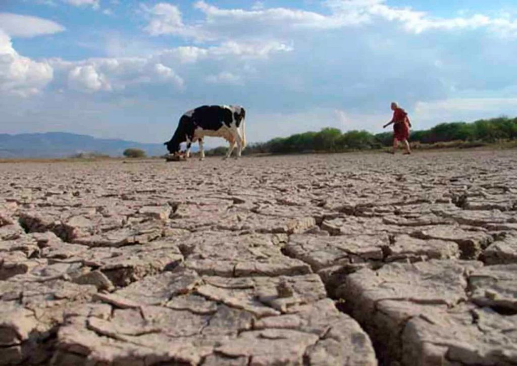 LA SEQUÍA PARECE NO TENER FIN PARA EL SECTOR GANADERO EN DURANGO