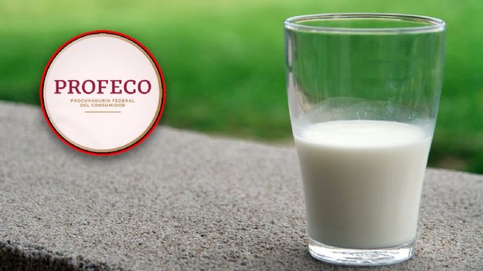 Lala o Alpura qué leche tiene más proteína, según Profeco