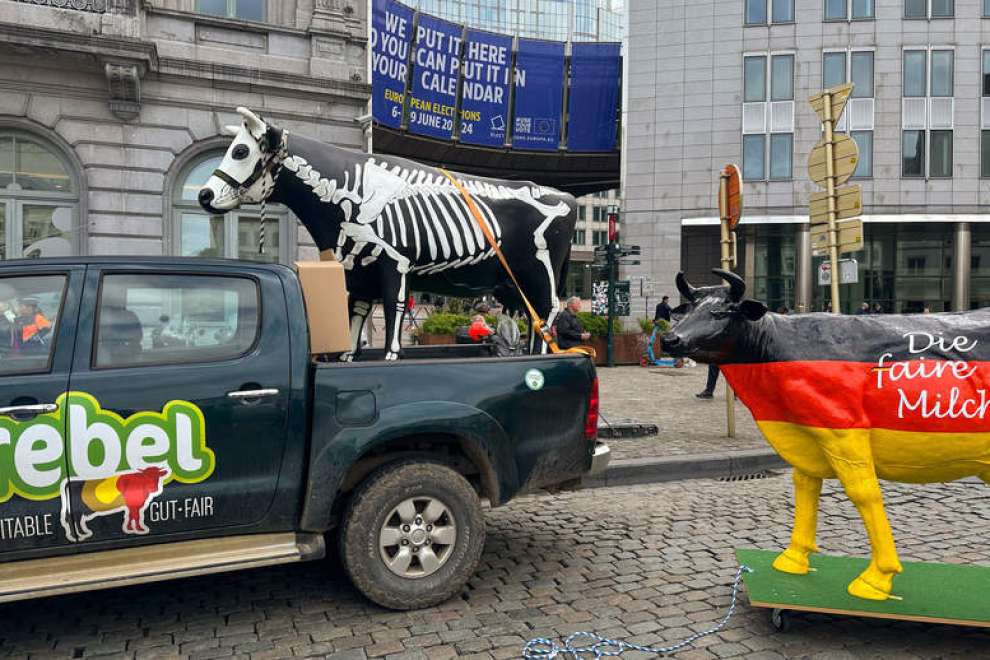 Las protestas por los bajos precios de la leche irrumpen en Bruselas