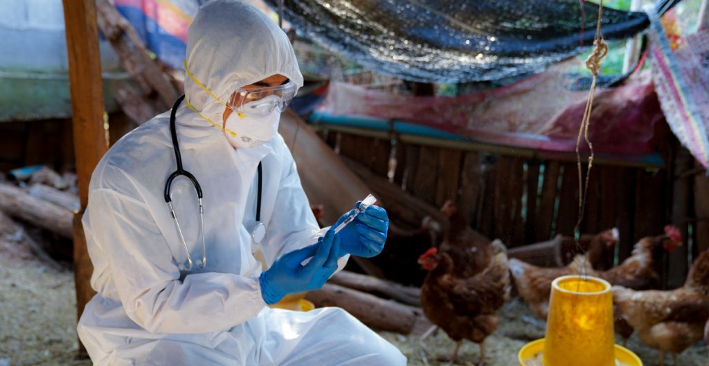 Los CDC piden que las autoridades estatales en EU entreguen equipo de protección a trabajadores agrícolas para prevenir infecciones de gripe aviar