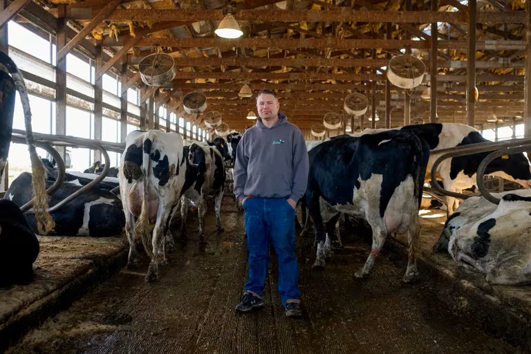 Los trabajadores del sector lácteo siguen expuestos a la gripe aviar, según autoridades estadounidenses