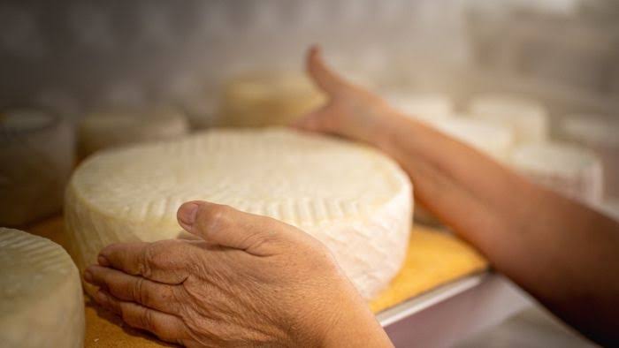 Queseros se mantienen con el abasto suficiente de leche, pero lo que se les caen son las ventas