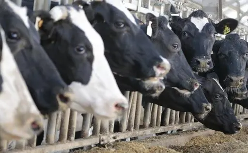 USDA Pulso a la producción mundial de leche cruda