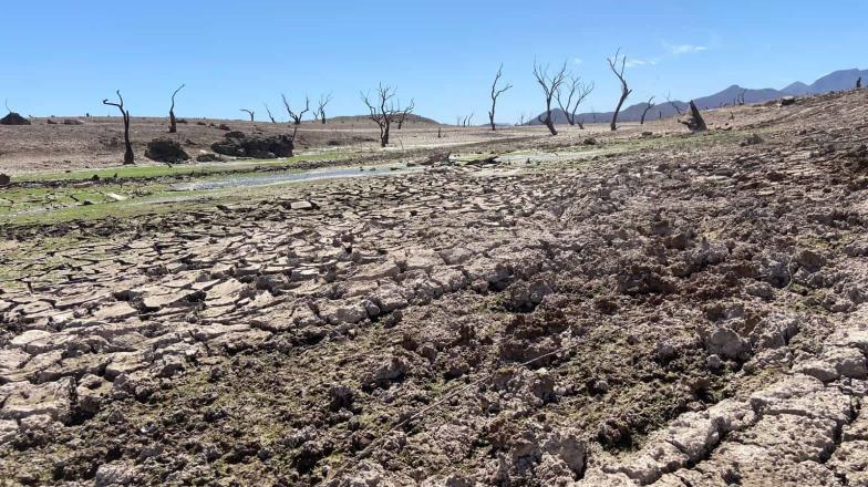 Escasea agua en los ranchos del sur de Sonora