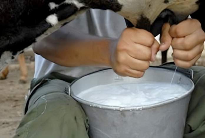 Ingreso de leche en polvo proveniente de EU, a lecheros poblanos les han bajado el precio hasta 52%, denuncia Unión Ganadera