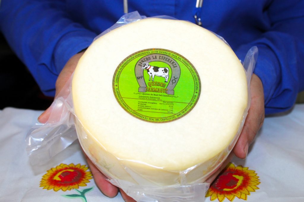 Ofrecerán diplomado a productores de queso