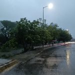 Dan un respiro, primeras lluvias benefician a productores pecuarios en Sinaloa municipio líder ganadero