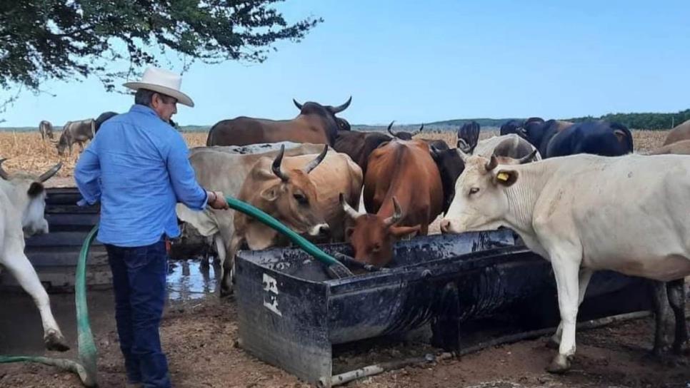 Es un abuso de los industriales comprar leche a 5 pesos