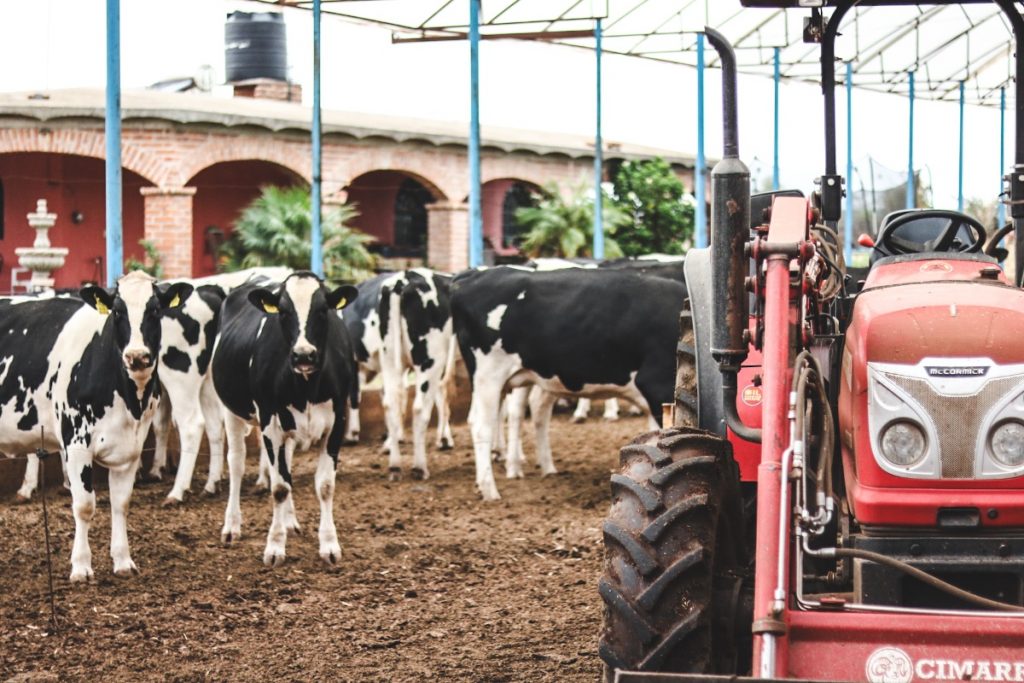 Grupo Danone busca fortalecer la producción de leche sostenible con Proyecto Margarita