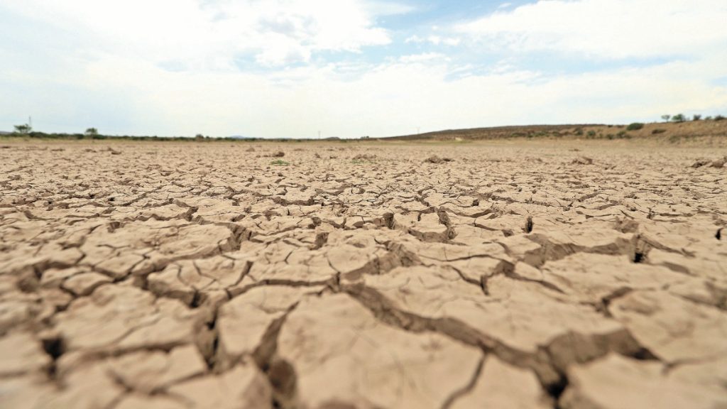 La sequía podría dejarnos sin leche y sin cerveza