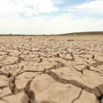 La sequía podría dejarnos sin leche y sin cerveza