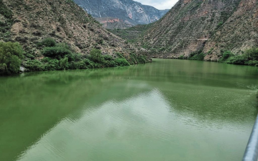 Lluvias, un respiro para productores de Querétaro