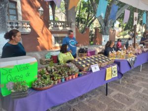 Poco apoyo del gobierno municipal ante sequías, reportan productores de la zona rural de Morelia