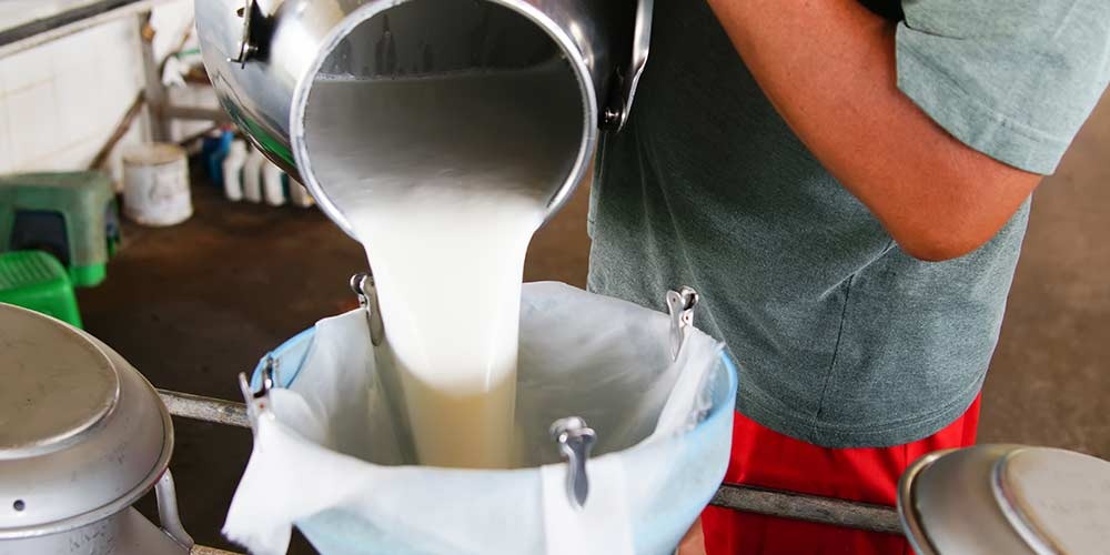 Productores de la principal cuenca lechera de Sinaloa buscará que pasteurizadoras les paguen mejor el litro