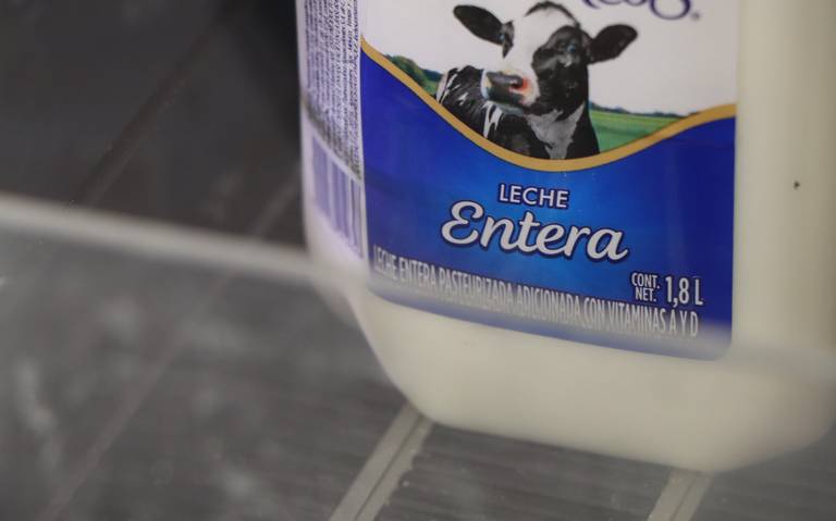 Productores de leche exigen mejor precio por incremento en costos