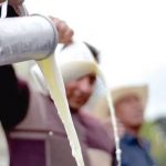 Productores de leche ya no la tirarán