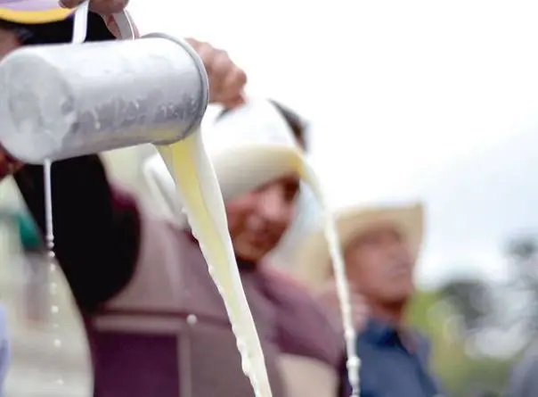 Productores de leche ya no la tirarán