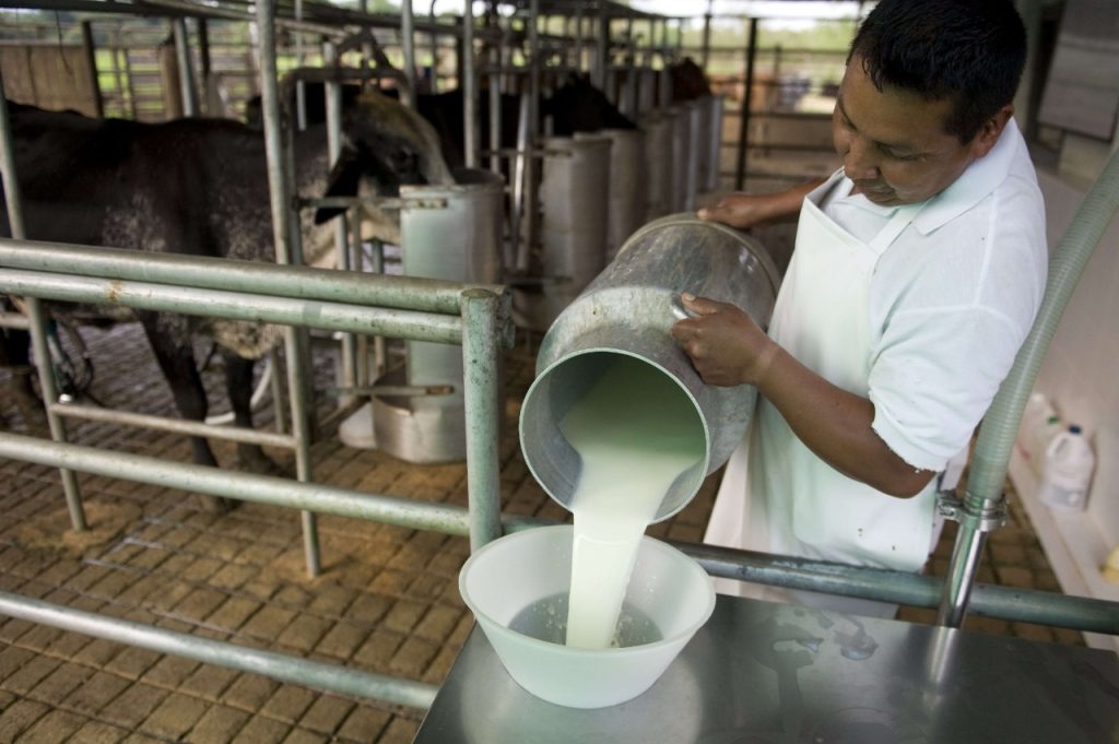 Que no chin… los que compran la leche que paguen tan poco por el litro de leche a ganaderos