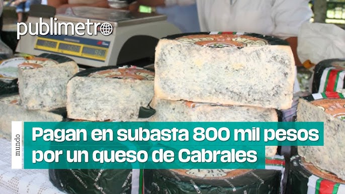 A qué sabrá Pagan en subasta 800 mil pesos por un queso de Cabrales