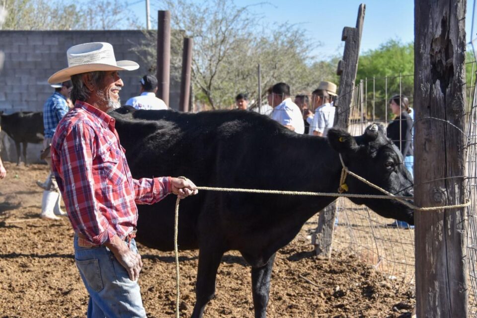 Aseguran que ha bajado el robo de ganado en Aguascalientes