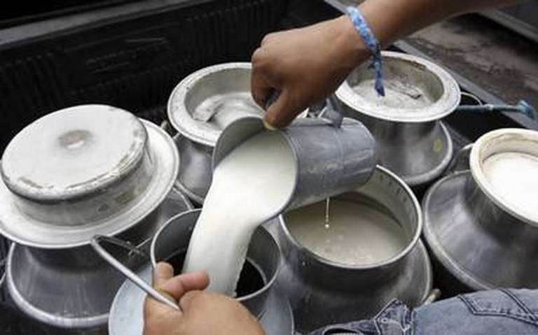 Cae casi 2% la producción de leche en Jiménez durante el primer semestre del año