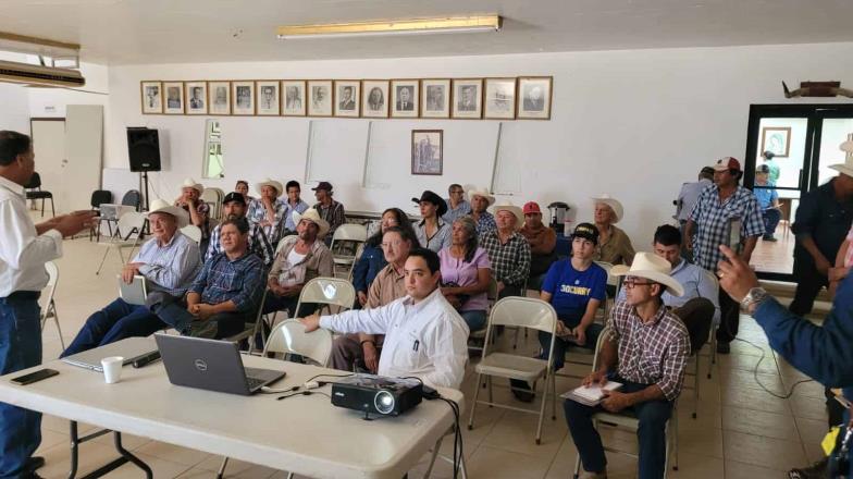 Conservan bagazo para alimentar el ganado en época de vacas flacas